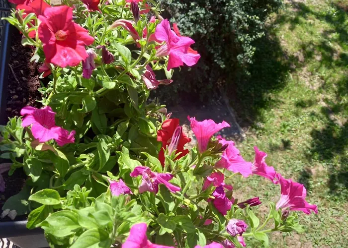 Maison Du Bois Torgnon